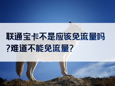 联通宝卡不是应该免流量吗？难道不能免流量？