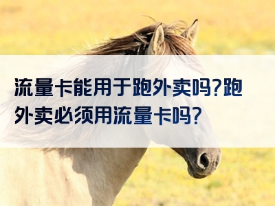 流量卡能用于跑外卖吗？跑外卖必须用流量卡吗？