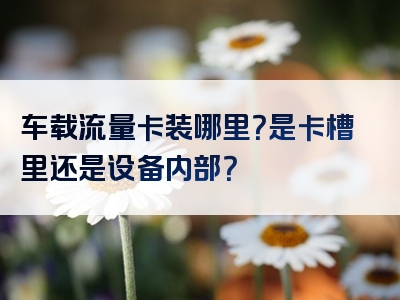 车载流量卡装哪里？是卡槽里还是设备内部？
