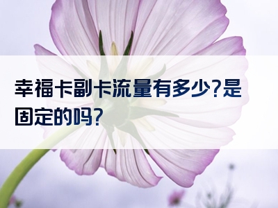 幸福卡副卡流量有多少？是固定的吗？