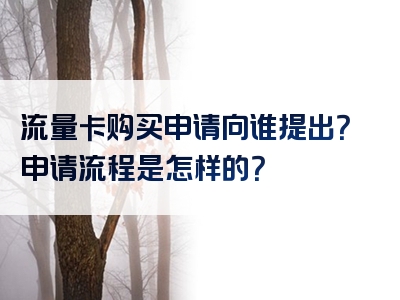 流量卡购买申请向谁提出？申请流程是怎样的？