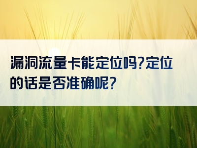 漏洞流量卡能定位吗？定位的话是否准确呢？