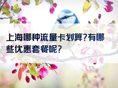 上海哪种流量卡划算？有哪些优惠套餐呢？
