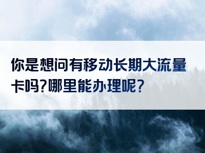 你是想问有移动长期大流量卡吗？哪里能办理呢？