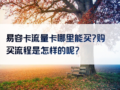 易容卡流量卡哪里能买？购买流程是怎样的呢？