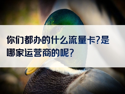 你们都办的什么流量卡？是哪家运营商的呢？
