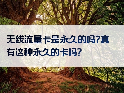 无线流量卡是永久的吗？真有这种永久的卡吗？