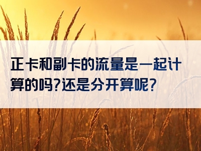 正卡和副卡的流量是一起计算的吗？还是分开算呢？
