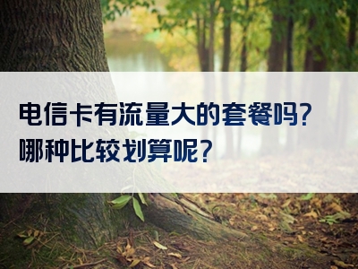 电信卡有流量大的套餐吗？哪种比较划算呢？