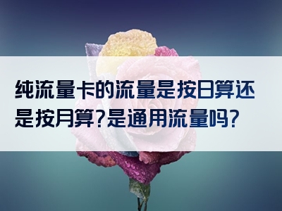 纯流量卡的流量是按日算还是按月算？是通用流量吗？
