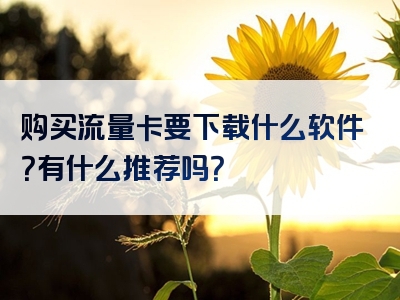 购买流量卡要下载什么软件？有什么推荐吗？