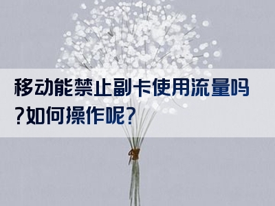 移动能禁止副卡使用流量吗？如何操作呢？