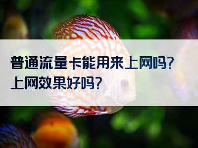 普通流量卡能用来上网吗？上网效果好吗？