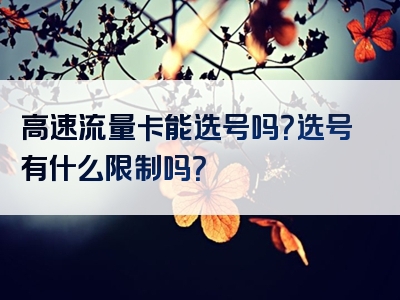 高速流量卡能选号吗？选号有什么限制吗？