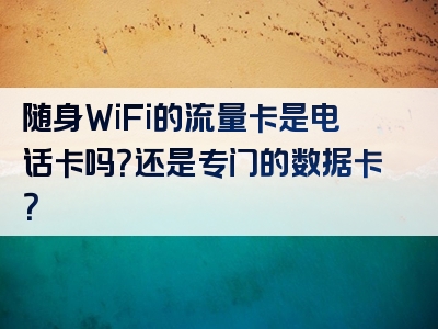 随身WiFi的流量卡是电话卡吗？还是专门的数据卡？