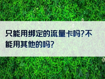 只能用绑定的流量卡吗？不能用其他的吗？