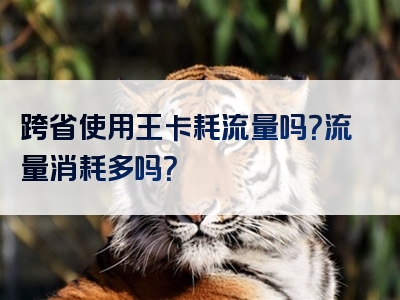 跨省使用王卡耗流量吗？流量消耗多吗？