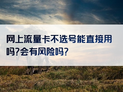 网上流量卡不选号能直接用吗？会有风险吗？