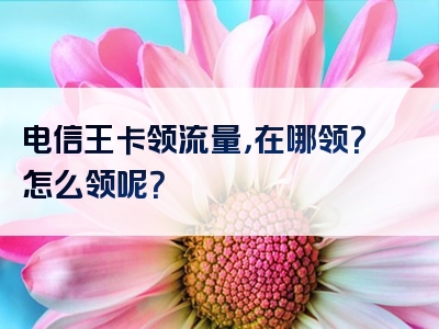 电信王卡领流量，在哪领？怎么领呢？