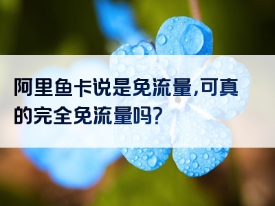 阿里鱼卡说是免流量，可真的完全免流量吗？