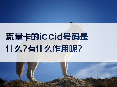 流量卡的iccid号码是什么？有什么作用呢？