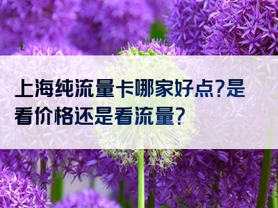 上海纯流量卡哪家好点？是看价格还是看流量？
