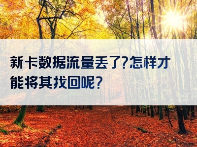 新卡数据流量丢了？怎样才能将其找回呢？