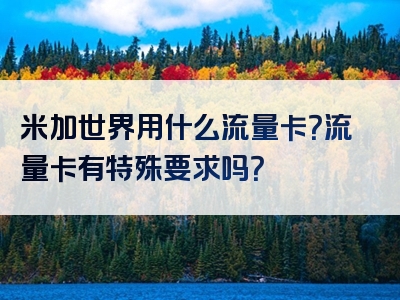 米加世界用什么流量卡？流量卡有特殊要求吗？