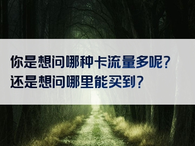 你是想问哪种卡流量多呢？还是想问哪里能买到？