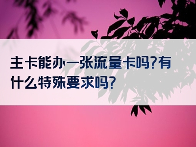 主卡能办一张流量卡吗？有什么特殊要求吗？