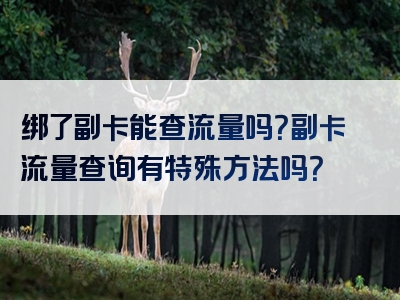 绑了副卡能查流量吗？副卡流量查询有特殊方法吗？