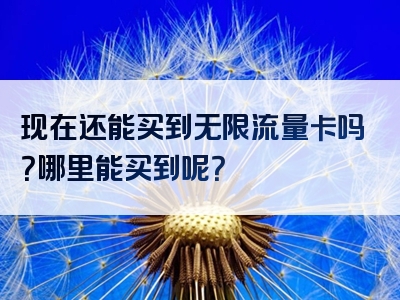 现在还能买到无限流量卡吗？哪里能买到呢？