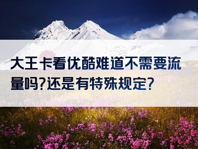 大王卡看优酷难道不需要流量吗？还是有特殊规定？