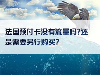 法国预付卡没有流量吗？还是需要另行购买？