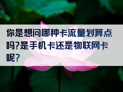 你是想问哪种卡流量划算点吗？是手机卡还是物联网卡呢？