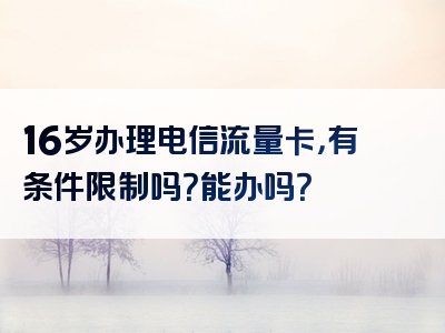 16岁办理电信流量卡，有条件限制吗？能办吗？
