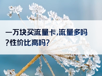 一万块买流量卡，流量多吗？性价比高吗？