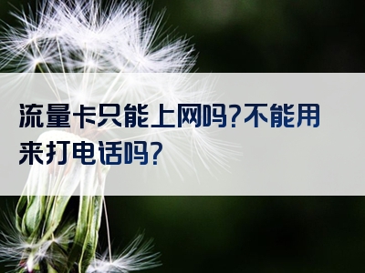 流量卡只能上网吗？不能用来打电话吗？