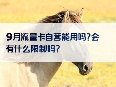 9月流量卡自营能用吗？会有什么限制吗？