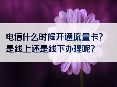 电信什么时候开通流量卡？是线上还是线下办理呢？
