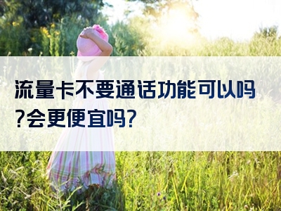 流量卡不要通话功能可以吗？会更便宜吗？