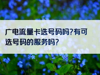 广电流量卡选号码吗？有可选号码的服务吗？