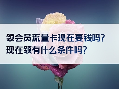 领会员流量卡现在要钱吗？现在领有什么条件吗？