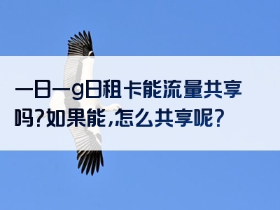 一日一g日租卡能流量共享吗？如果能，怎么共享呢？