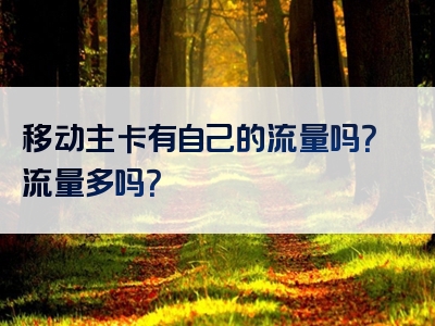 移动主卡有自己的流量吗？流量多吗？