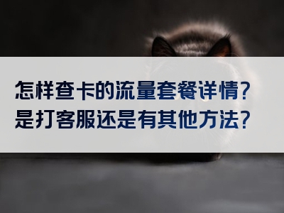 怎样查卡的流量套餐详情？是打客服还是有其他方法？
