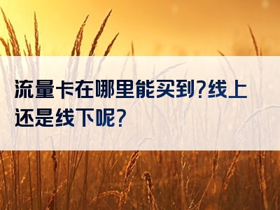 流量卡在哪里能买到？线上还是线下呢？