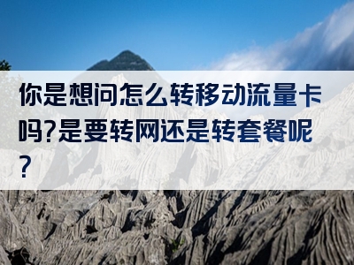 你是想问怎么转移动流量卡吗？是要转网还是转套餐呢？