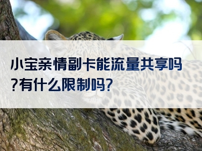 小宝亲情副卡能流量共享吗？有什么限制吗？