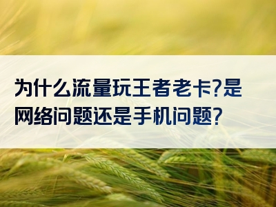 为什么流量玩王者老卡？是网络问题还是手机问题？